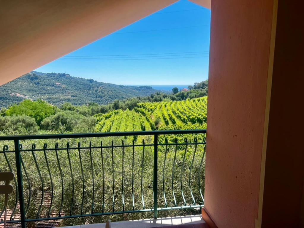 Agriturismo Ada Musso Ss Diano Borello Exterior foto