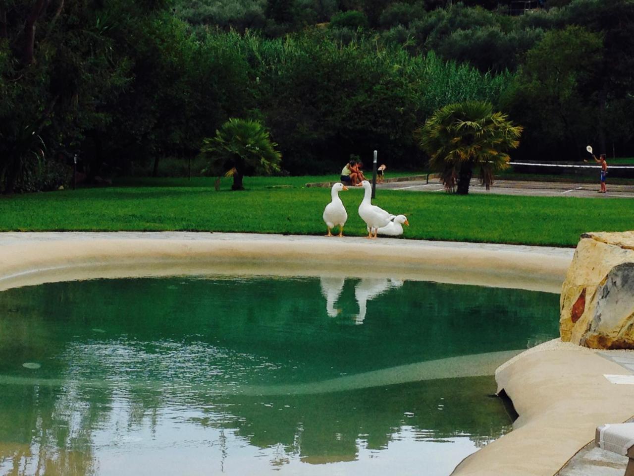 Agriturismo Ada Musso Ss Diano Borello Exterior foto